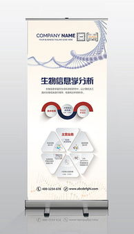 psd醫(yī)學易拉寶 psd格式醫(yī)學易拉寶素材圖片 psd醫(yī)學易拉寶設計模板 