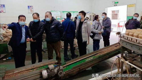 陜西省食用菌產(chǎn)業(yè)技術(shù)體系專家走進(jìn)眾興高科